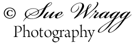 suewragg logo